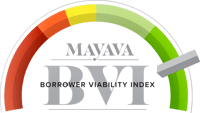 Borrower Viability Index